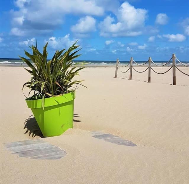 Lesparisnormands - Magnifique Vue Mer - Centre Et Plage วิลเลร์-ซูร์-แมร์ ภายนอก รูปภาพ